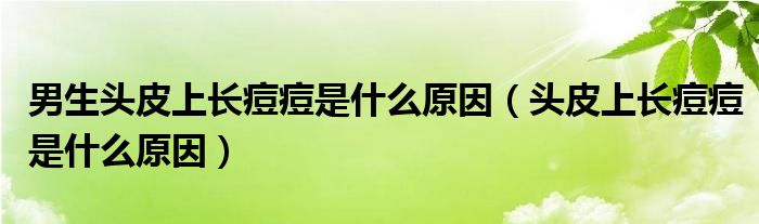 男生頭皮上長(zhǎng)痘痘是什么原因（頭皮上長(zhǎng)痘痘是什么原因）