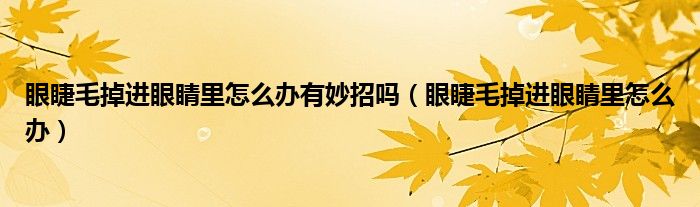 眼睫毛掉進(jìn)眼睛里怎么辦有妙招嗎（眼睫毛掉進(jìn)眼睛里怎么辦）