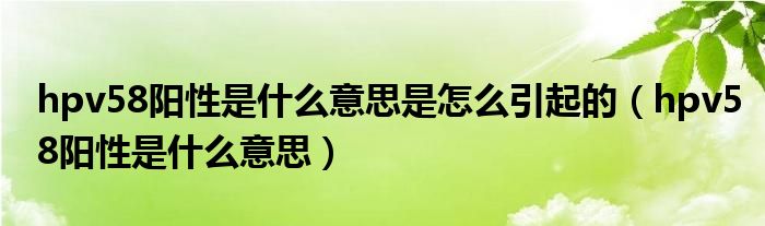 hpv58陽性是什么意思是怎么引起的（hpv58陽性是什么意思）