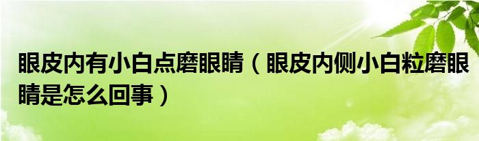 眼皮內(nèi)有小白點(diǎn)磨眼睛（眼皮內(nèi)側(cè)小白粒磨眼睛是怎么回事）