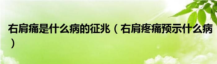 右肩痛是什么病的征兆（右肩疼痛預(yù)示什么?。?class='thumb lazy' /></a>
		    <header>
		<h2><a  href=