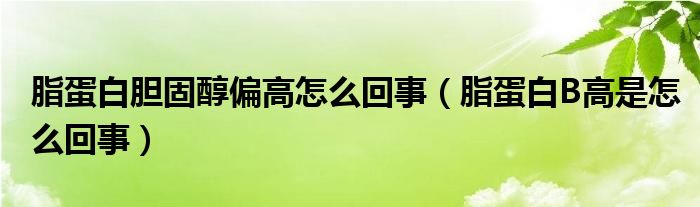 脂蛋白膽固醇偏高怎么回事（脂蛋白B高是怎么回事）