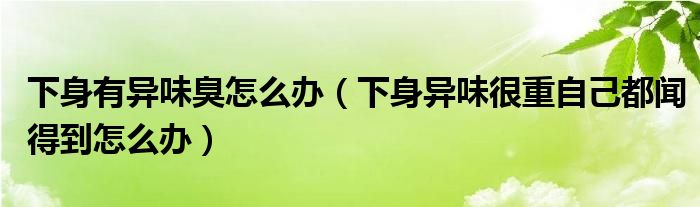 下身有異味臭怎么辦（下身異味很重自己都聞得到怎么辦）