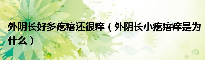 外陰長(zhǎng)好多疙瘩還很癢（外陰長(zhǎng)小疙瘩癢是為什么）