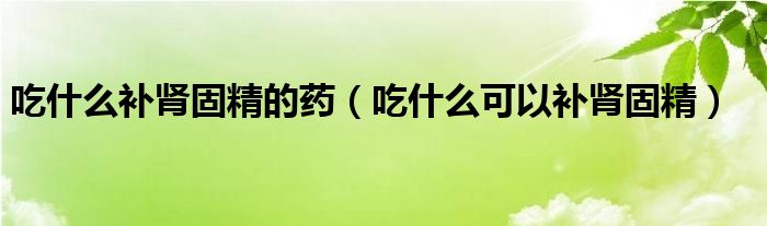 吃什么補腎固精的藥（吃什么可以補腎固精）