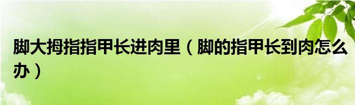 腳大拇指指甲長進肉里（腳的指甲長到肉怎么辦）