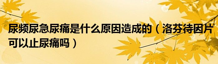 尿頻尿急尿痛是什么原因造成的（洛芬待因片可以止尿痛嗎）