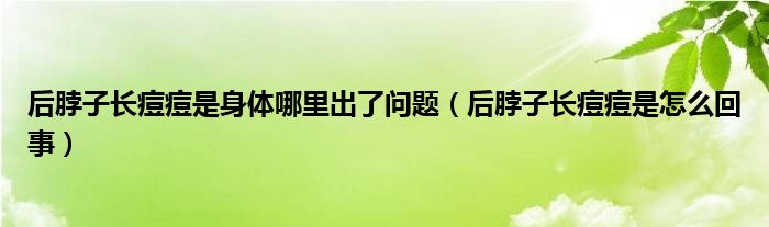 后脖子長痘痘是身體哪里出了問題（后脖子長痘痘是怎么回事）