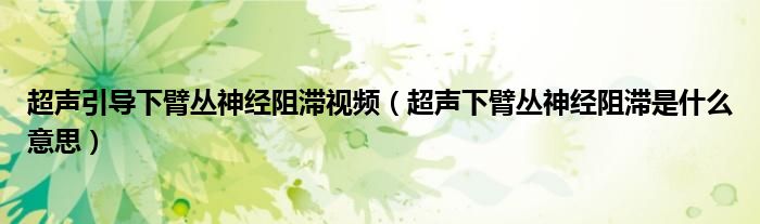 超聲引導下臂叢神經(jīng)阻滯視頻（超聲下臂叢神經(jīng)阻滯是什么意思）