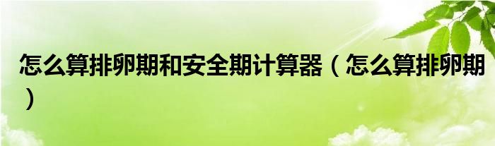 怎么算排卵期和安全期計(jì)算器（怎么算排卵期）