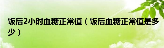 飯后2小時血糖正常值（飯后血糖正常值是多少）