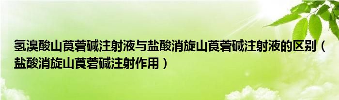 氫溴酸山莨菪堿注射液與鹽酸消旋山莨菪堿注射液的區(qū)別（鹽酸消旋山莨菪堿注射作用）