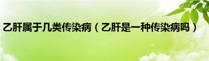 乙肝屬于幾類傳染?。ㄒ腋问且环N傳染病嗎）