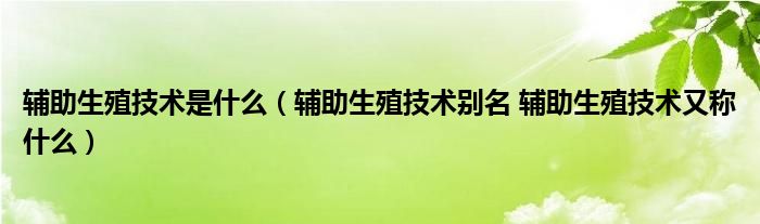 輔助生殖技術(shù)是什么（輔助生殖技術(shù)別名 輔助生殖技術(shù)又稱(chēng)什么）