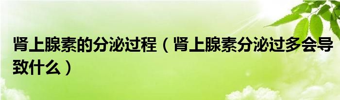 腎上腺素的分泌過程（腎上腺素分泌過多會(huì)導(dǎo)致什么）