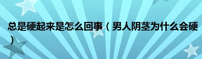 總是硬起來是怎么回事（男人陰莖為什么會硬）