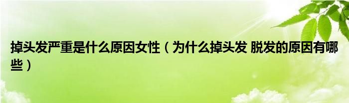 掉頭發(fā)嚴(yán)重是什么原因女性（為什么掉頭發(fā) 脫發(fā)的原因有哪些）