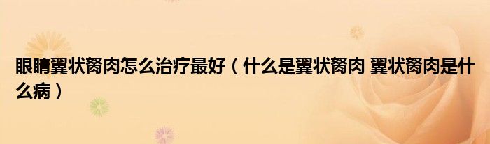 眼睛翼狀胬肉怎么治療最好（什么是翼狀胬肉 翼狀胬肉是什么?。?class='thumb lazy' /></a>
		    <header>
		<h2><a  href=