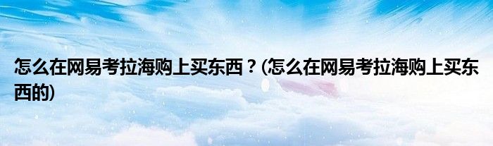 怎么在網(wǎng)易考拉海購上買東西？(怎么在網(wǎng)易考拉海購上買東西的)