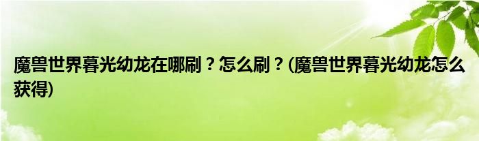 魔獸世界暮光幼龍在哪刷？怎么刷？(魔獸世界暮光幼龍怎么獲得)