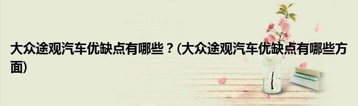 大眾途觀汽車優(yōu)缺點有哪些？(大眾途觀汽車優(yōu)缺點有哪些方面)