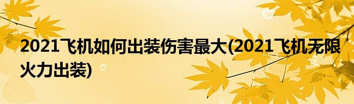 2021飛機(jī)如何出裝傷害最大(2021飛機(jī)無限火力出裝)