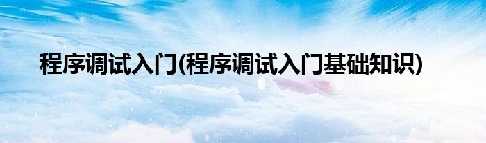 程序調試入門(程序調試入門基礎知識)