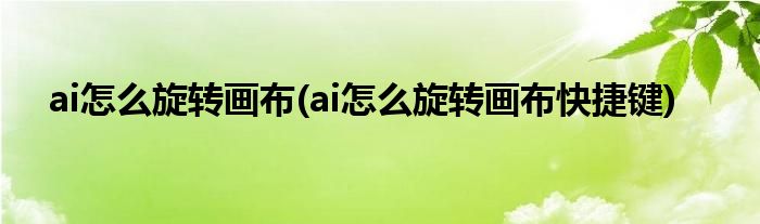 ai怎么旋轉(zhuǎn)畫布(ai怎么旋轉(zhuǎn)畫布快捷鍵)