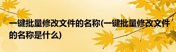 一鍵批量修改文件的名稱(一鍵批量修改文件的名稱是什么)