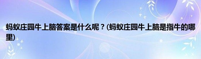 螞蟻莊園牛上腦答案是什么呢？(螞蟻莊園牛上腦是指牛的哪里)