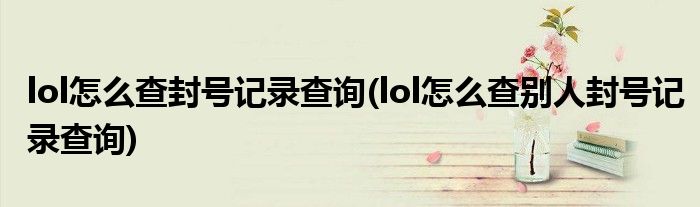 lol怎么查封號(hào)記錄查詢(lol怎么查別人封號(hào)記錄查詢)