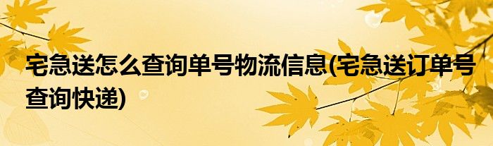 宅急送怎么查詢單號(hào)物流信息(宅急送訂單號(hào)查詢快遞)