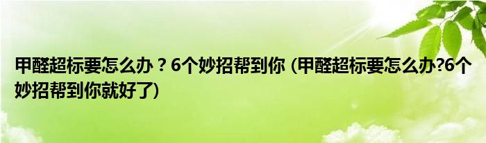 甲醛超標(biāo)要怎么辦？6個妙招幫到你 (甲醛超標(biāo)要怎么辦?6個妙招幫到你就好了)