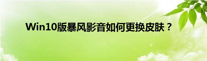Win10版暴風影音如何更換皮膚？