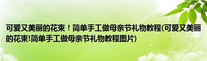 可愛又美麗的花束！簡單手工做母親節(jié)禮物教程(可愛又美麗的花束!簡單手工做母親節(jié)禮物教程圖片)