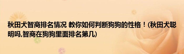 秋田犬智商排名情況 教你如何判斷狗狗的性格！(秋田犬聰明嗎,智商在狗狗里面排名第幾)