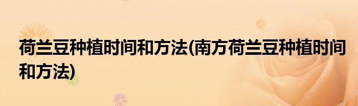荷蘭豆種植時間和方法(南方荷蘭豆種植時間和方法)
