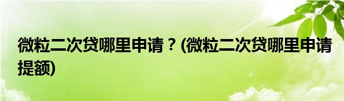 微粒二次貸哪里申請(qǐng)？(微粒二次貸哪里申請(qǐng)?zhí)犷~)