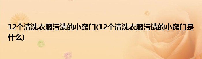 12個(gè)清洗衣服污漬的小竅門(12個(gè)清洗衣服污漬的小竅門是什么)