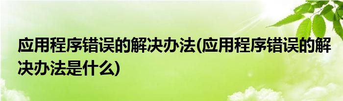 應(yīng)用程序錯(cuò)誤的解決辦法(應(yīng)用程序錯(cuò)誤的解決辦法是什么)