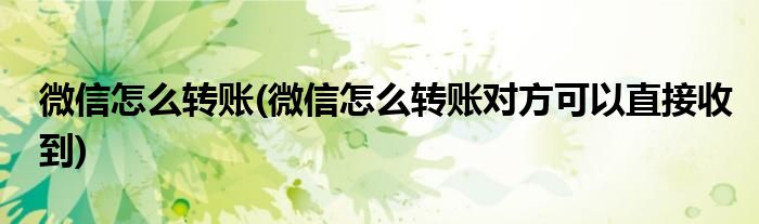 微信怎么轉(zhuǎn)賬(微信怎么轉(zhuǎn)賬對(duì)方可以直接收到)