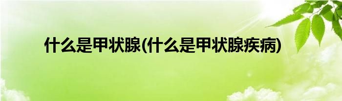 什么是甲狀腺(什么是甲狀腺疾病)