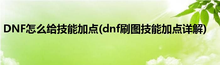 DNF怎么給技能加點(diǎn)(dnf刷圖技能加點(diǎn)詳解)