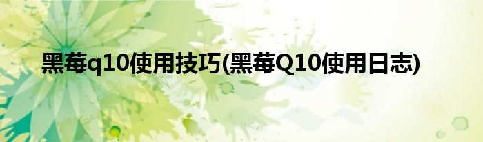 黑莓q10使用技巧(黑莓Q10使用日志)