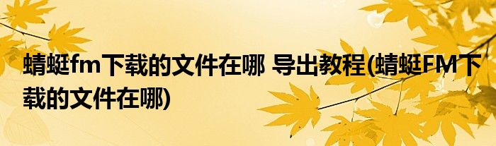 蜻蜓fm下載的文件在哪 導出教程(蜻蜓FM下載的文件在哪)