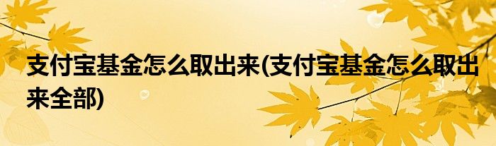 支付寶基金怎么取出來(支付寶基金怎么取出來全部)