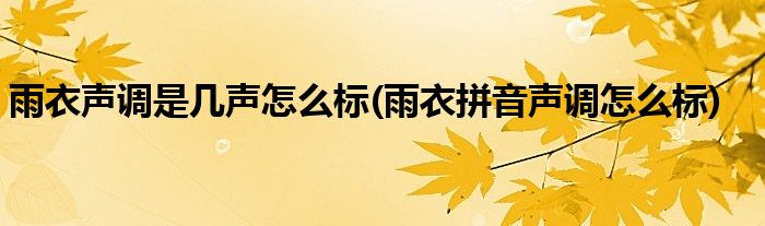 雨衣聲調(diào)是幾聲怎么標(biāo)(雨衣拼音聲調(diào)怎么標(biāo))