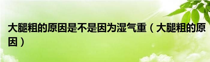 大腿粗的原因是不是因為濕氣重（大腿粗的原因）