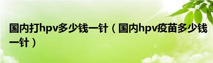 國(guó)內(nèi)打hpv多少錢(qián)一針（國(guó)內(nèi)hpv疫苗多少錢(qián)一針）