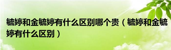 毓婷和金毓婷有什么區(qū)別哪個(gè)貴（毓婷和金毓婷有什么區(qū)別）